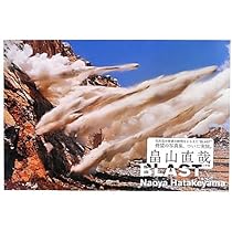 Naoya Hatakeyama 畠山直哉 A BIRD BLAST #130 A BIRD BLAST#130 NAOYA HATAKEYAMA 畠山直哉 - 古本買取販売
