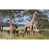 アニマルビッグフィギュアシリーズ【巨大なキリン】(等身大フィギュア)