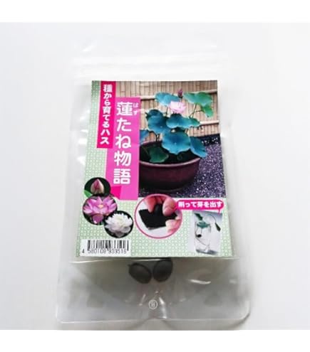 希少　台湾白玉レンブ　取木苗木　蓮霧 Amazon.co.jp: 希少 台湾白玉レンブ 取木苗木 蓮霧 : DIY・工具