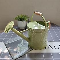 515gfdWHpmL._AC_UL210_SR210,