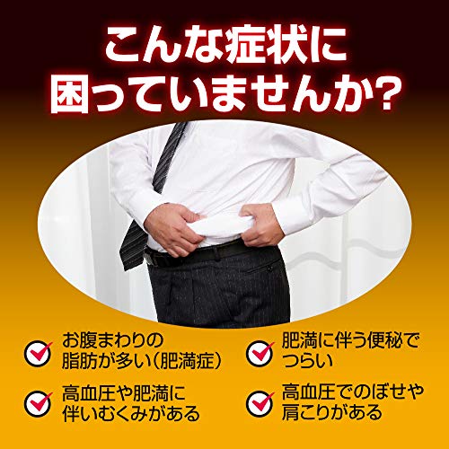 痩せた ナイシトールzのジェネリック でコストを抑える うえっとすとりーむ