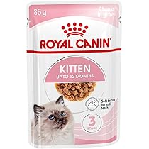 Amazon | ロイヤルカナン FHN キトン 子猫用 2kg | ロイヤルカナン