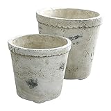 COVENT GARDEN リプル・リムポット2点セット QP-30