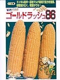 ゴールドラッシュ８６　サカタのイエロートウモロコシ種です
