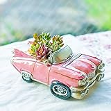 多肉植物 寄せ植え taniku クラシックカー Aタイプ