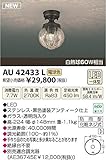 コイズミ照明　アウトドアライト【AU42433L】