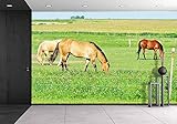 wall26 – 自己粘着壁紙大壁壁画シリーズ 100"x144" WMR-WP-X-C423-100x24x6