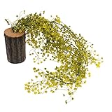 Baoblade Baoblaze 木製の人工的な多肉植物の切り株リビングルームの壁の装飾 - 13