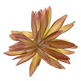 Dovewill 装飾品　工芸品　人工植物　シミュレーション植物