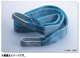 トーヨーセフティー スイングベルト 幅100mm 長さ3.0m TOYO SAFETY