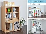 ディスプレイラック ディスプレイ本棚 フラップ ディスプレイラック フラップ2枚扉オープン