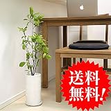ドッグウッド ハナミズキ 75cm 貫入鉢皿付 k-70　造花 インテリア 観葉植物 大型 フェイクグリーン