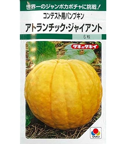 Amazon | カボチャ タキイ種苗 アトランチィク ジャイアント タキイ