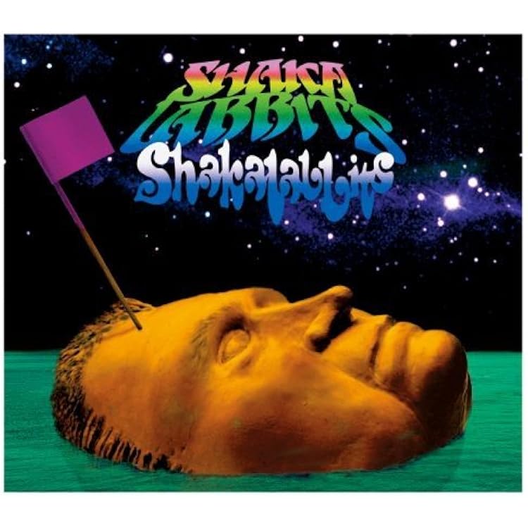 【直筆サイン入り】嘘を混ぜ込んだ真実のスープ レコード SHAKALABBITS Amazon.co.jp: 嘘を混ぜ込んだ真実のスープ: ミュージック