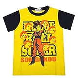 ドラゴンボール超 スーパー 孫悟空 ベジータ スーパーサイヤ人 ゴッド 半袖Tシャツ 子供用 キッズ ジュニア fo-ht07 110 E柄