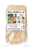 カラーやしのセンイ 50g 白