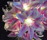 ユリの花 リリー 百合ランプ 造花 ルームライト 照明 20個/100個 タイプ 5色展開 20個2M　電池タイプ　イエロー 【1点】