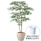エフプランター 人工観葉植物-ヤマモミジ株立 GREEN-150-8号鉢-懸崖鉢
