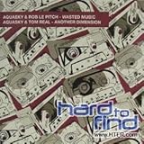 Wasted Music-Another Dimension [12 inch Analog]