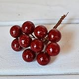 シャイニーピック 10本入り[ レッド］　【ピック】【フェイク】【アクセサリー】【フラワー】【パール】【実】