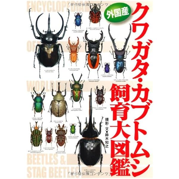 Amazon.co.jp: 世界のクワガタ大図鑑: クワガタムシ150種カブトムシ15