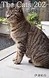 The Cats 202