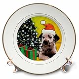 SmudgeArt All Thingsクリスマス – Dalmatian Puppy – プレート 8-Inch cp_23398_1