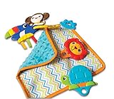 Kiddopotamus Shake, Rattle, and Teethe Teether Toy by Kiddopotamus