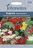 JOFL 英国ジョンソンシード Begonia Basket & Beauty ベゴニア・バスケット＆ビューティ