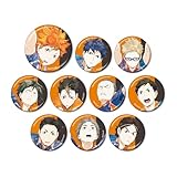 ハイキュー!! トレーディング Ani Art 第3弾 メタリック缶バッジ 10個入りBOX