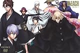 BLEACH �ߋ���