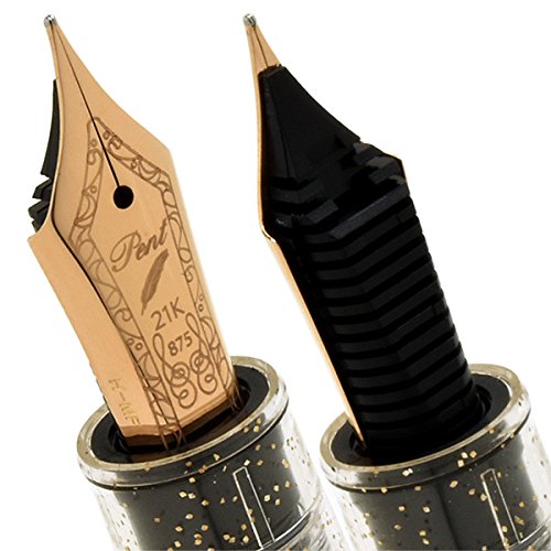 Pent[ペント] 万年筆 byセーラー万年筆 特別生産品 プロフィット