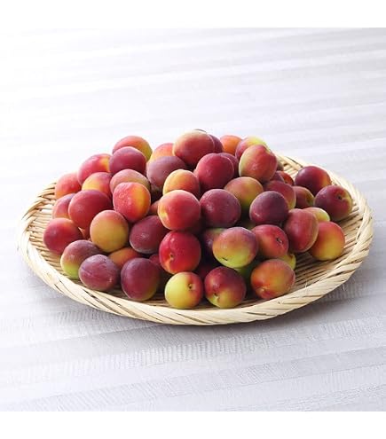 和歌山県紀南産　完熟南高梅5㎏ 秀品　4L-3L Amazon.co.jp: 梅 パープルキング 秀品 4L～Sサイズ 3kg 和歌山県産
