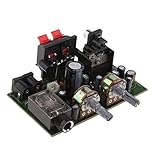IPOTCH 12V 電源　TDA2005　デュアル　デジタル　パワー　アンプ　ボード　チャンネル　