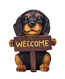 エイチツーオー ウェルカムボードドック 黒ダックス H9269