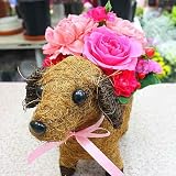 ワンちゃんにピンク系の季節のお花をセット 誕生日プレゼントや退職・送別・合格などのお祝いにお花のギフト