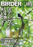 BIRDER (バーダー)2013年 05月号 [雑誌]