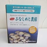 きのこ栽培セット：もりのぶなしめじ農園 [お家の中で手軽にキノコ栽培！]