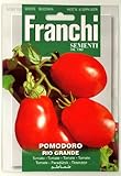 【FRANCHI社種子】【106/105】イタリアントマト　RIO GRANDE