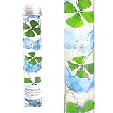 ハーバリウム 四つ葉のクローバー入り ラッキーハーバリウム　ブルー