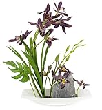 人工花アレンジメントwith花瓶装飾Orchid花盆栽ガーデンデザインシリーズ パープル CC0619HL
