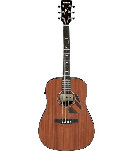 Amazon | アイバニーズ Ibanez PC34CE NT エレアコ アコースティック