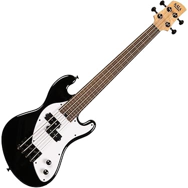 Amazon.co.jp ほしい物ランキング: エレキベース で、ほしい物リストと