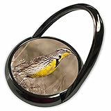 3drose Danita Delimont – 鳥 – ニシマキバドリ鳥、オクラホマ – us37 ldi0029 – ラリー・Ditto – 電話リング( PHR _ 93400 _ 1 )