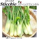 フェンネル 苗 スティッキオ 5ポットセット