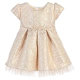 Sweet Kids Baby Girls Blushプリーツジャカードチュールフラワーガールドレス6 – 24 m カラー: ピンク
