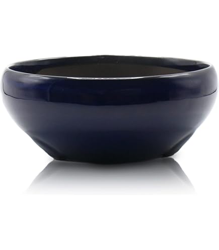 Amazon.co.jp: うめきち盆栽用品店 盆栽鉢 7号 小判エン付鉢 青色 海鼠