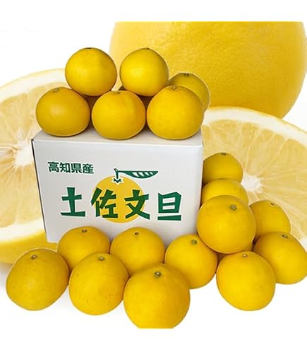 Amazon.co.jp: 【大玉サイズ】【ご家庭用】高知特産 土佐文旦 3L～4L