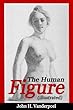 The Human Figure (English Edition)