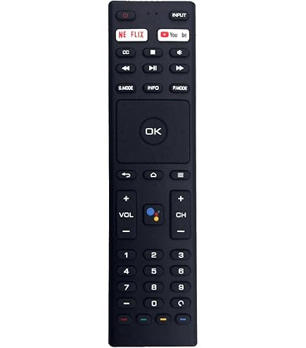 POF/RMC/0001 Voor Blaupunkt Netflix TV Afstandsbediening Freeview Play